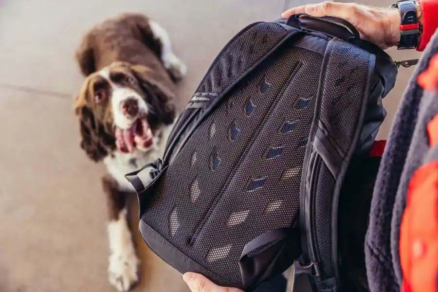 Gregory Nano 16 Pack view 5