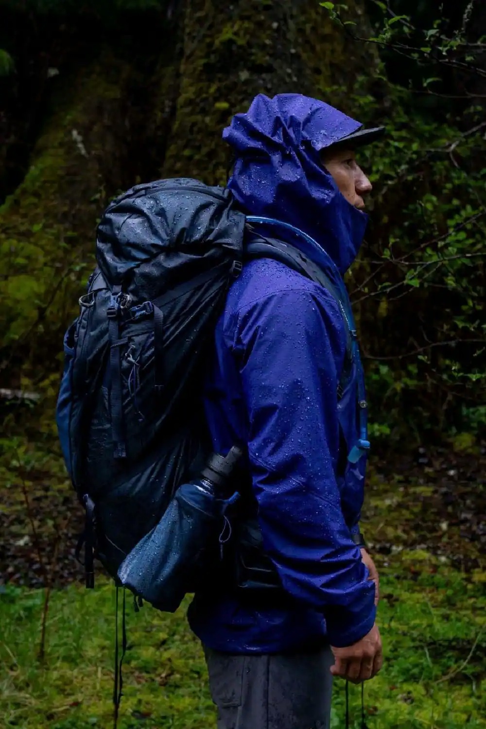 Gregory Deva 60 Pack - Women's view 8