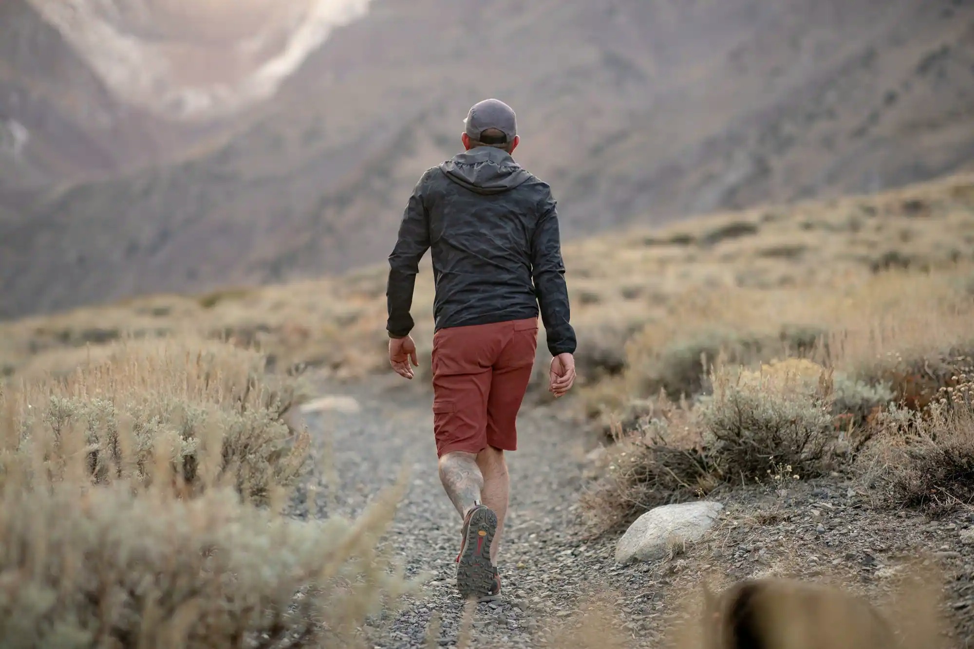 Danner Trail 2650 Hiking Shoes - Men's view 3