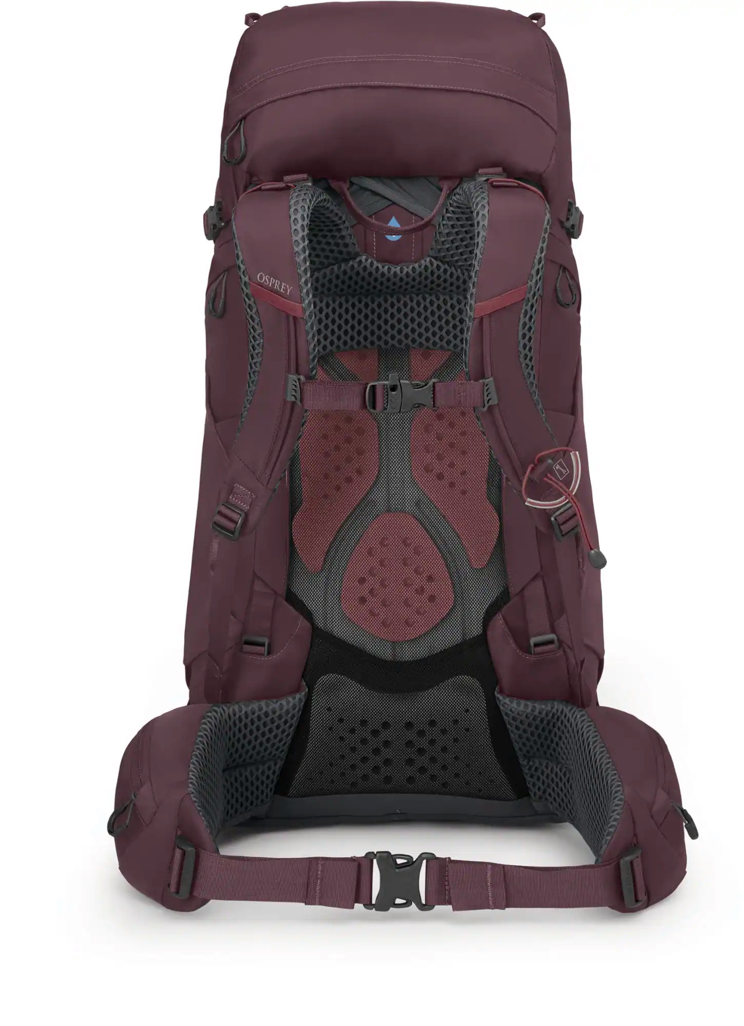 Osprey Kyte 48 Pack - Women's view 4