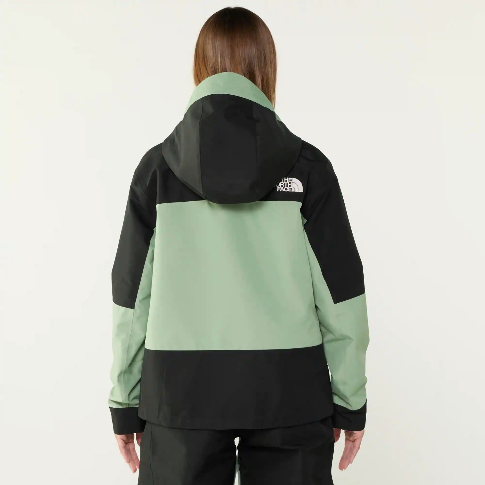 The North Face GTX Hex Jacket - Women's view 3
