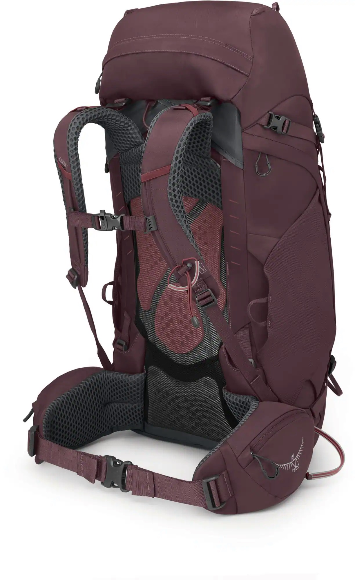 Osprey Kyte 48 Pack - Women's view 2