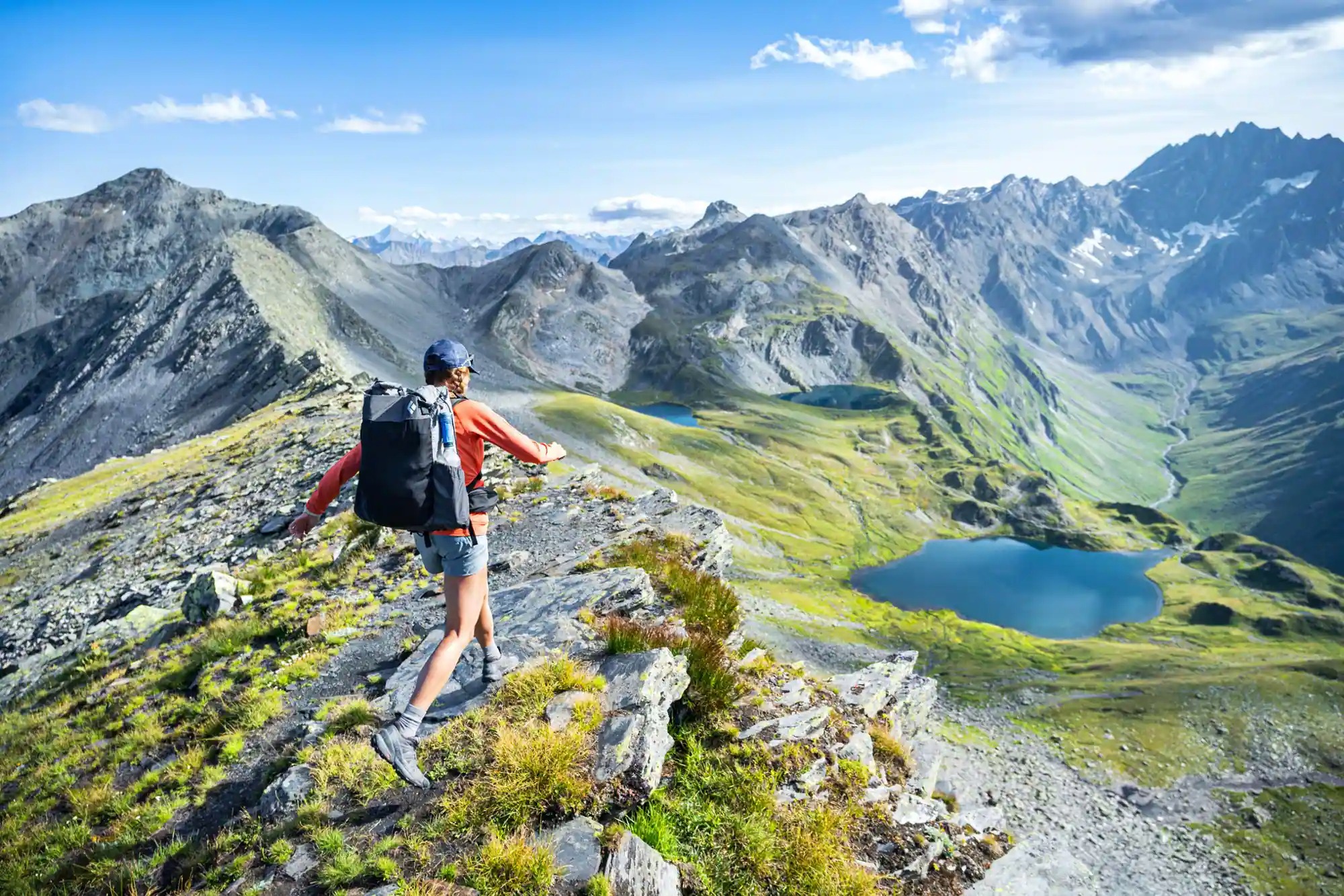 Platypus QuickDraw Filter view 5