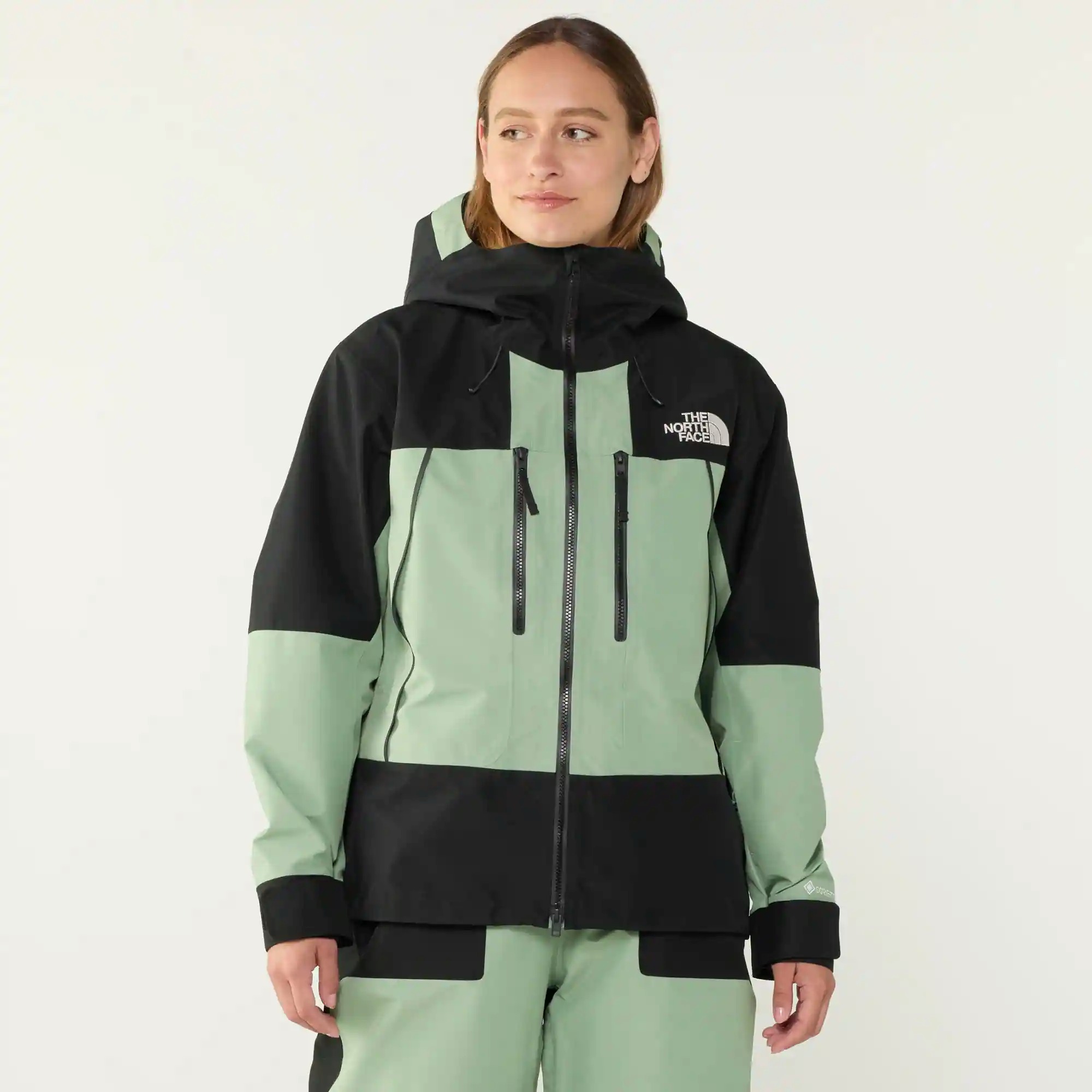 The North Face GTX Hex Jacket - Women's view 2