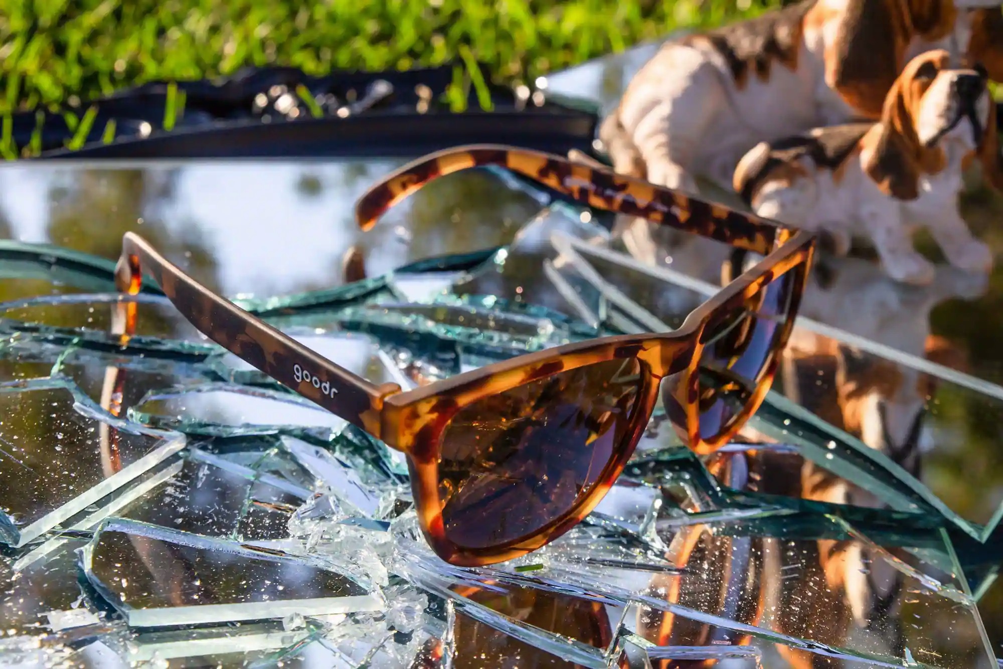 Polarized Sunglasses view 3