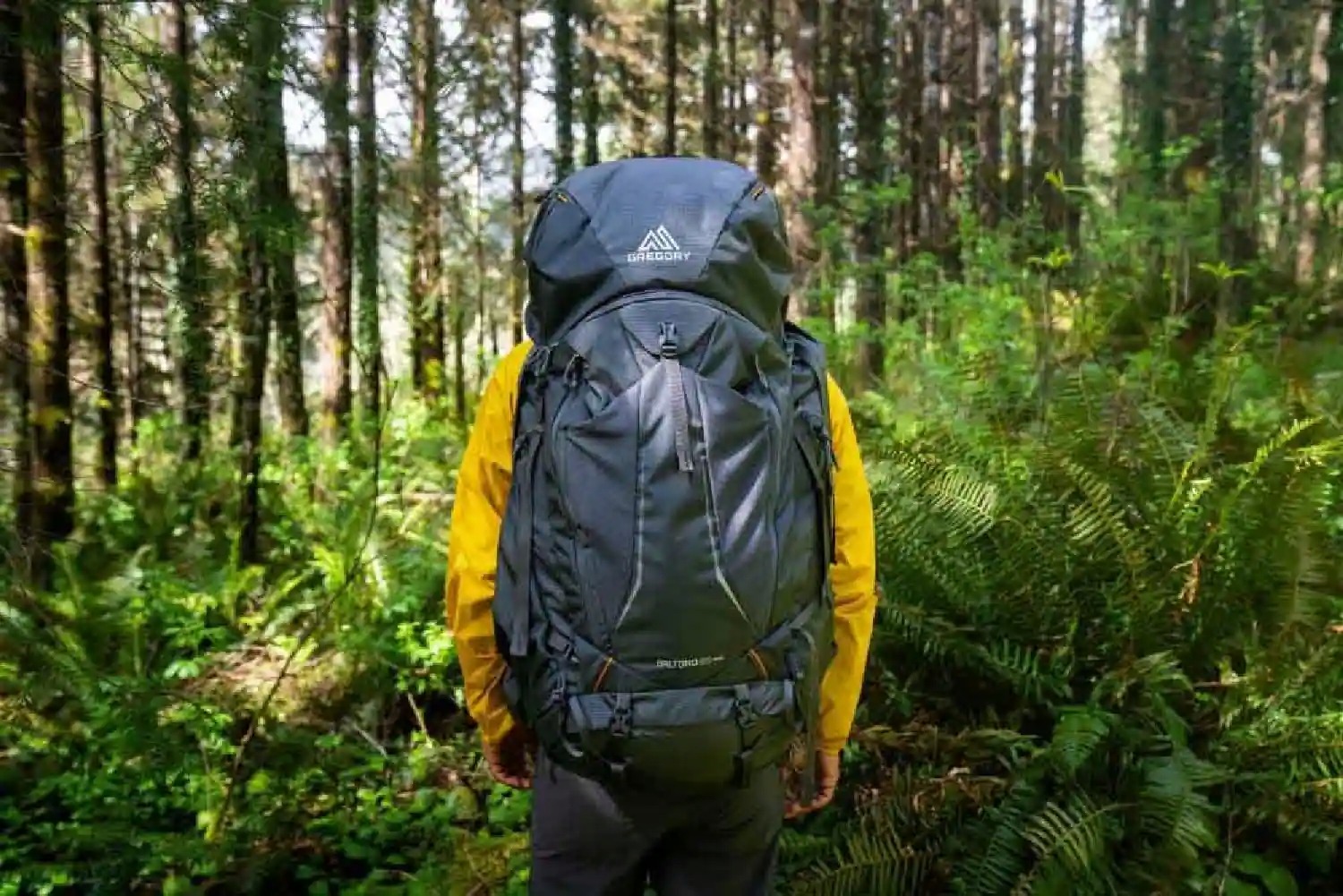 Gregory Baltoro 100 Pro Pack - Men's view 6